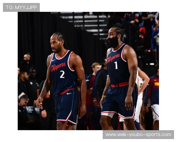 聚焦NBA国王队崛起之路，探寻年轻阵容与未来潜力的完美结合