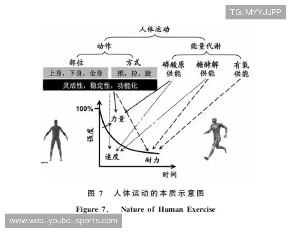 运动表现深度解析与技术优化策略在竞技训练中的应用研究 运动表现深度解析与技术优化策略在竞技训练中的应用研究
